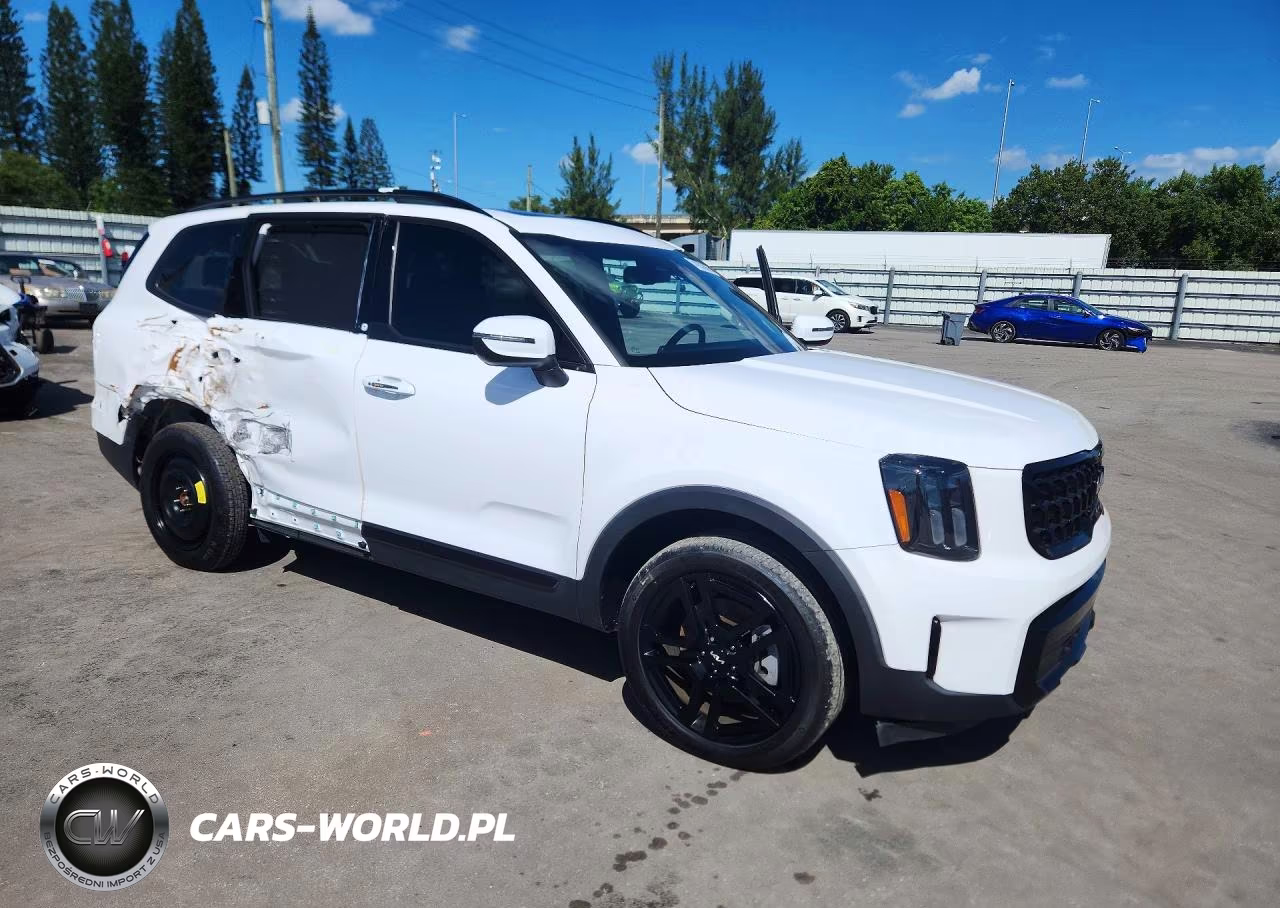 2024 Kia Telluride Ex X-Line VIN:5XYP3DGC0RG447593 - 4