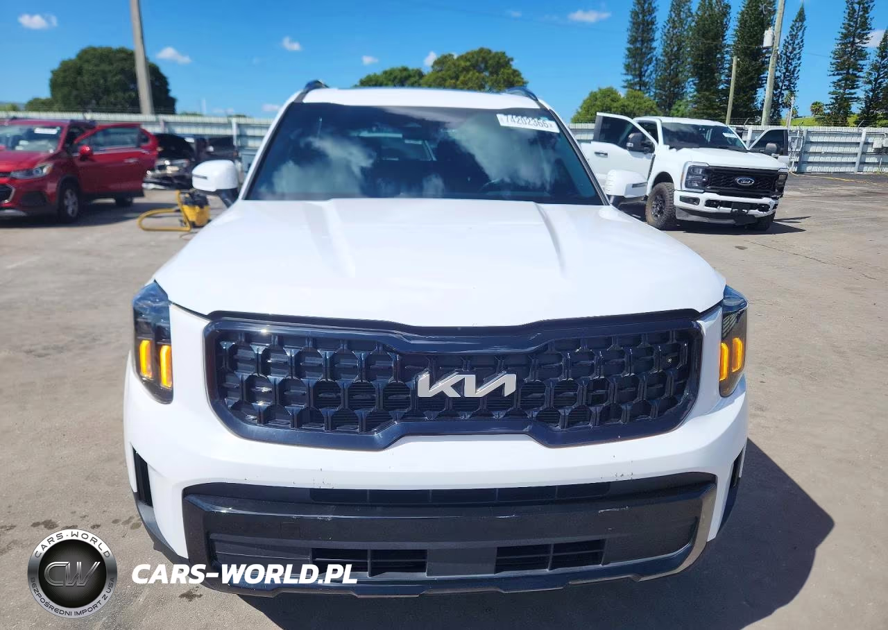 2024 Kia Telluride Ex X-Line VIN:5XYP3DGC0RG447593 - 5