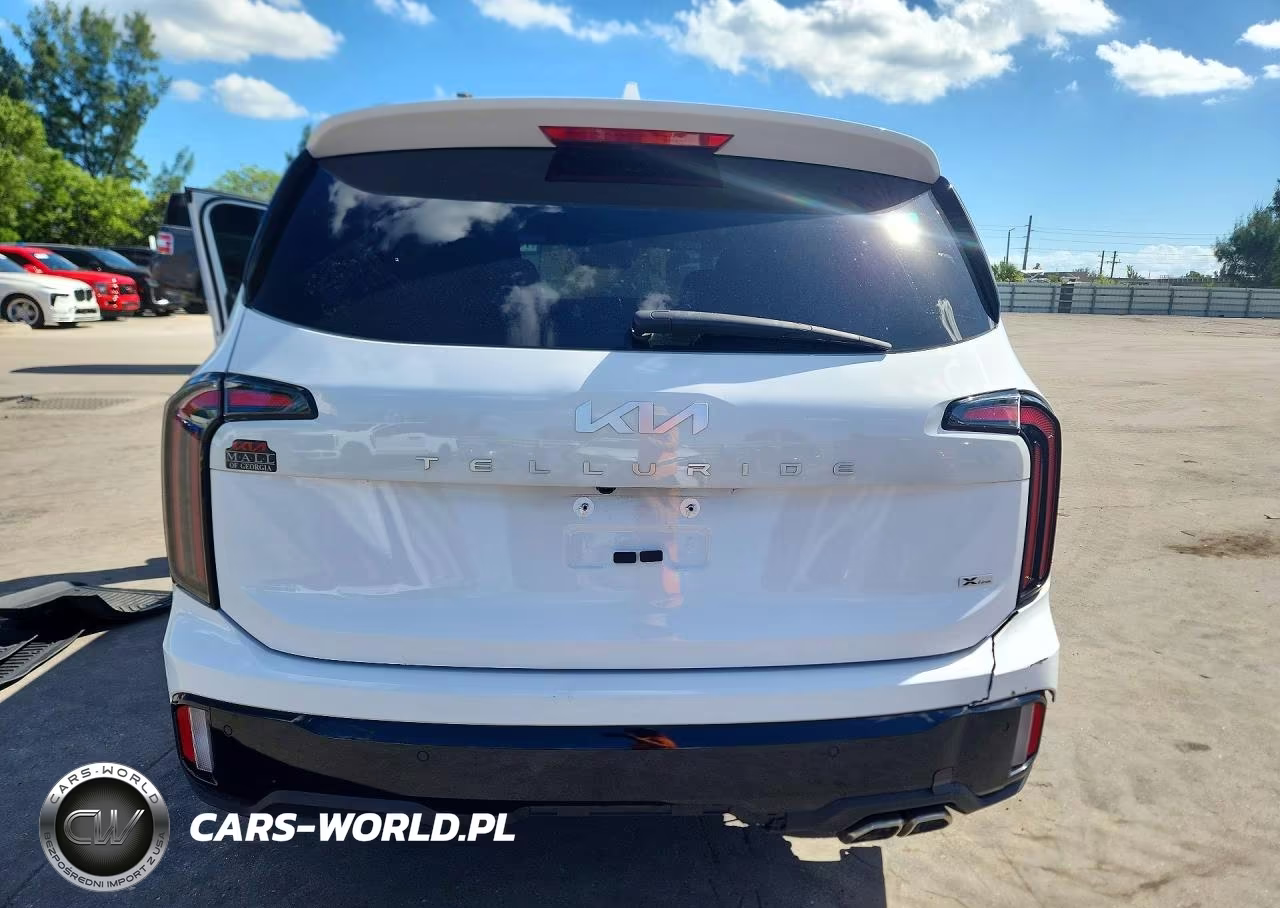2024 Kia Telluride Ex X-Line VIN:5XYP3DGC0RG447593 - 6