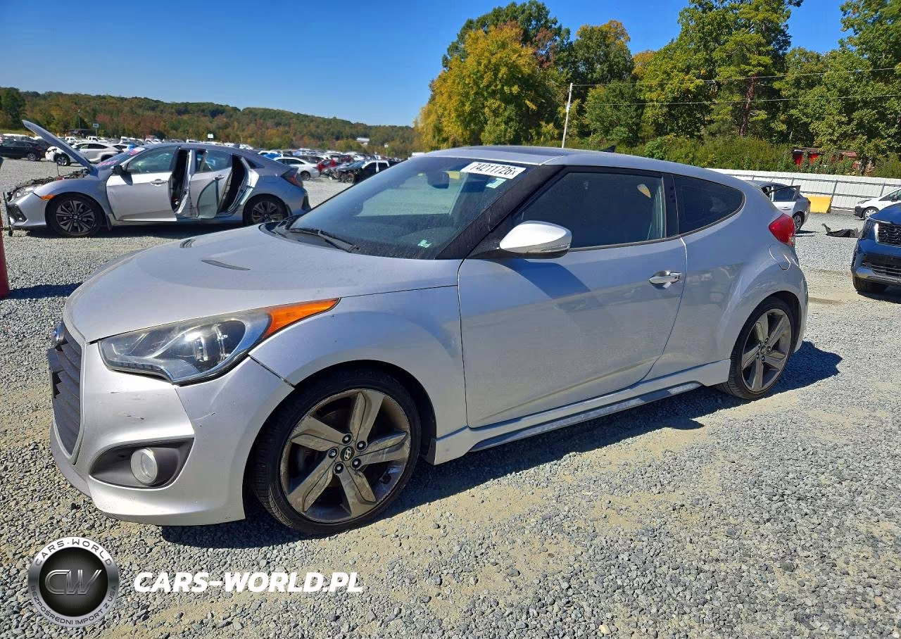 2013 Hyundai Veloster Turbo VIN:KMHTC6AE9DU100822 - 1