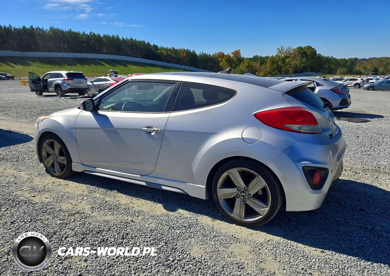 2013 Hyundai Veloster Turbo VIN:KMHTC6AE9DU100822 - 2