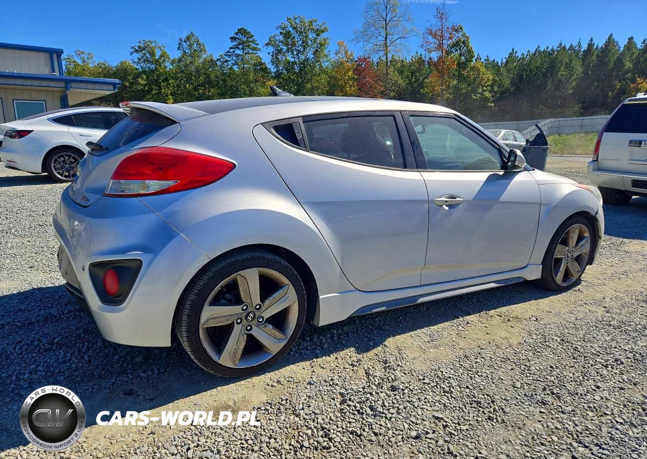 2013 Hyundai Veloster Turbo VIN:KMHTC6AE9DU100822 - 3
