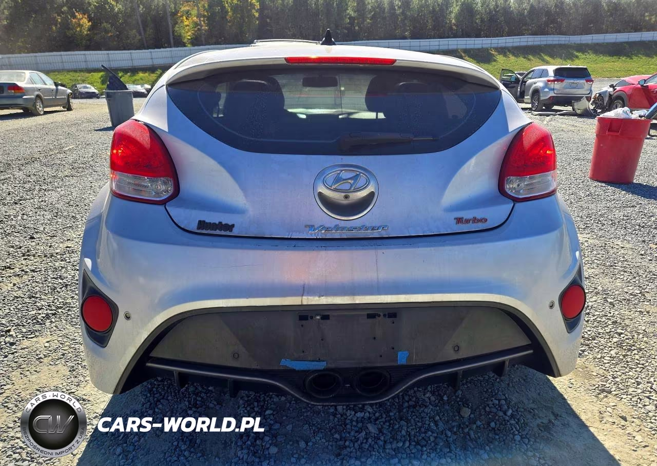 2013 Hyundai Veloster Turbo VIN:KMHTC6AE9DU100822 - 6