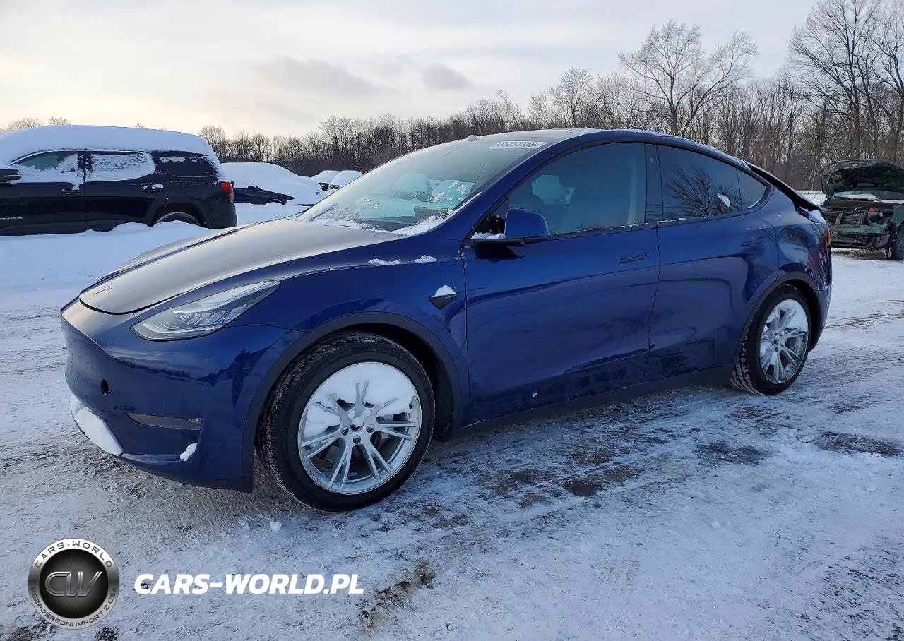 2020 Tesla Model Y