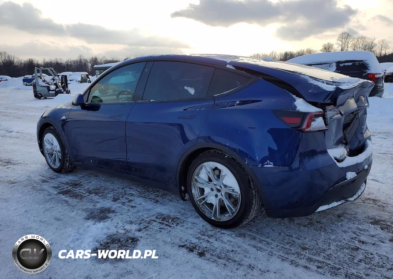2020 Tesla Model Y VIN:5YJYGDEEXLF007103 - 2