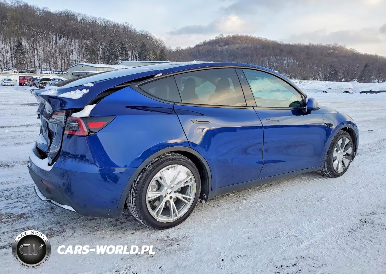 2020 Tesla Model Y VIN:5YJYGDEEXLF007103 - 3