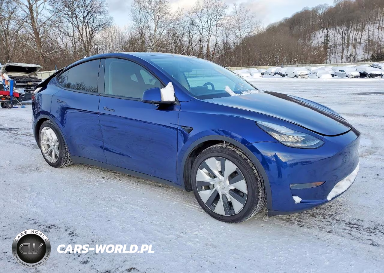 2020 Tesla Model Y VIN:5YJYGDEEXLF007103 - 4