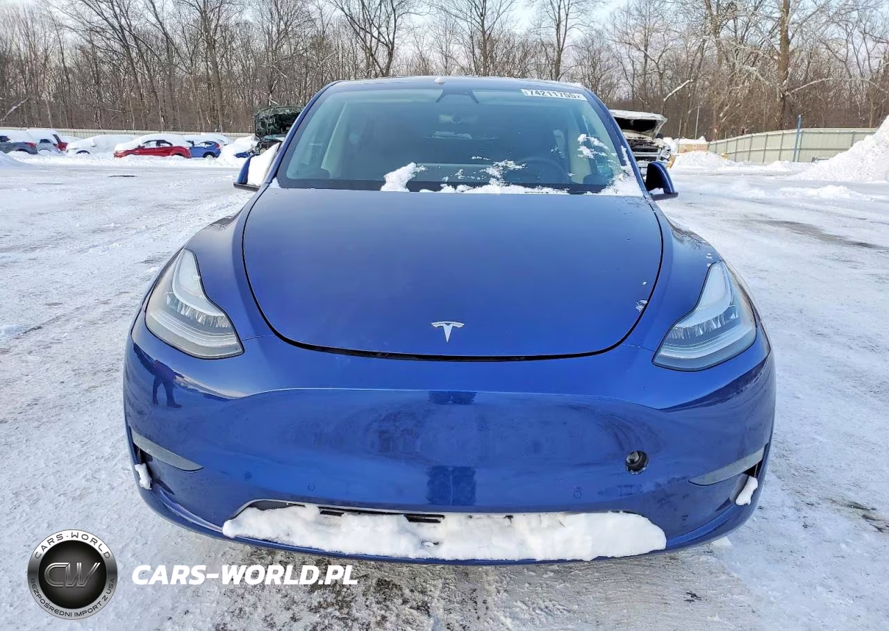2020 Tesla Model Y VIN:5YJYGDEEXLF007103 - 5