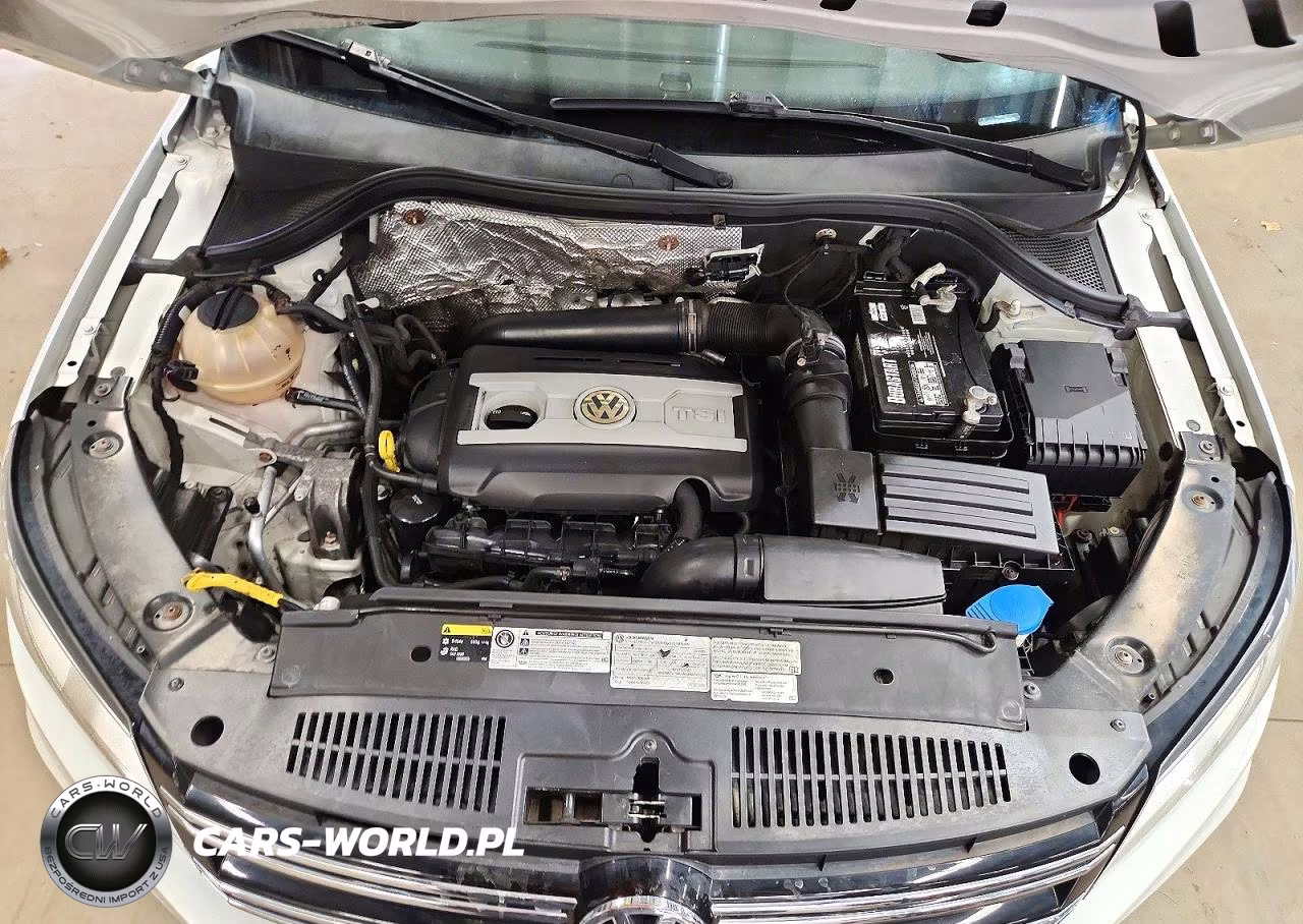 2017 Volkswagen Tiguan Wolfsburg VIN:WVGSV7AXXHW503246 - 12