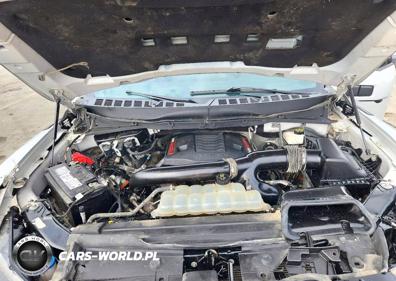 2023 Ford F-150 Raptor VIN:1FTFW1RG4PFD26180 - 11