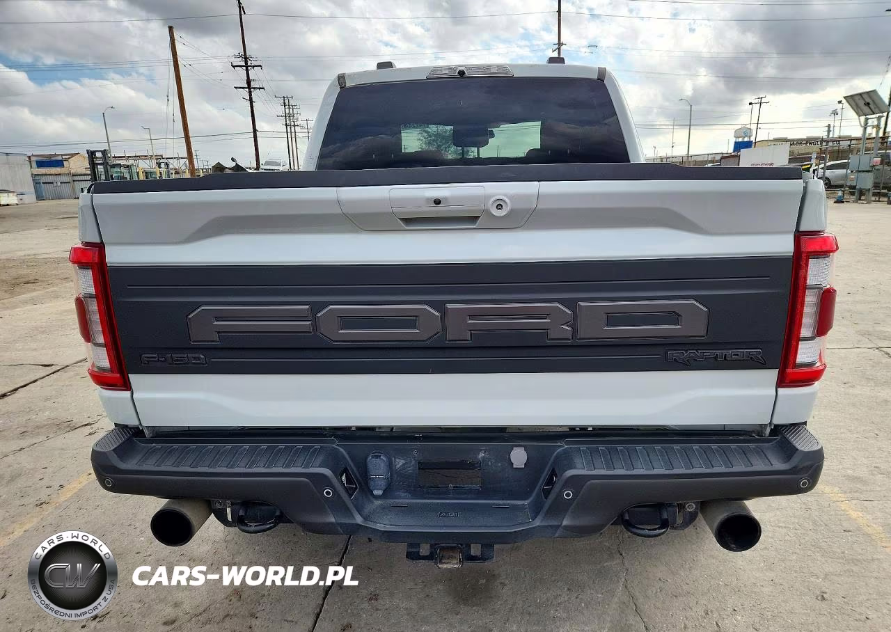 2023 Ford F-150 Raptor VIN:1FTFW1RG4PFD26180 - 6