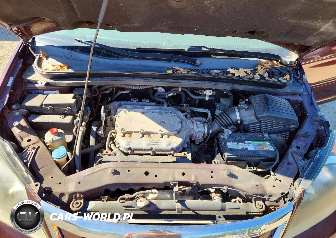 2010 Honda Odyssey Exl VIN:5FNRL3H79AB005301 - 12