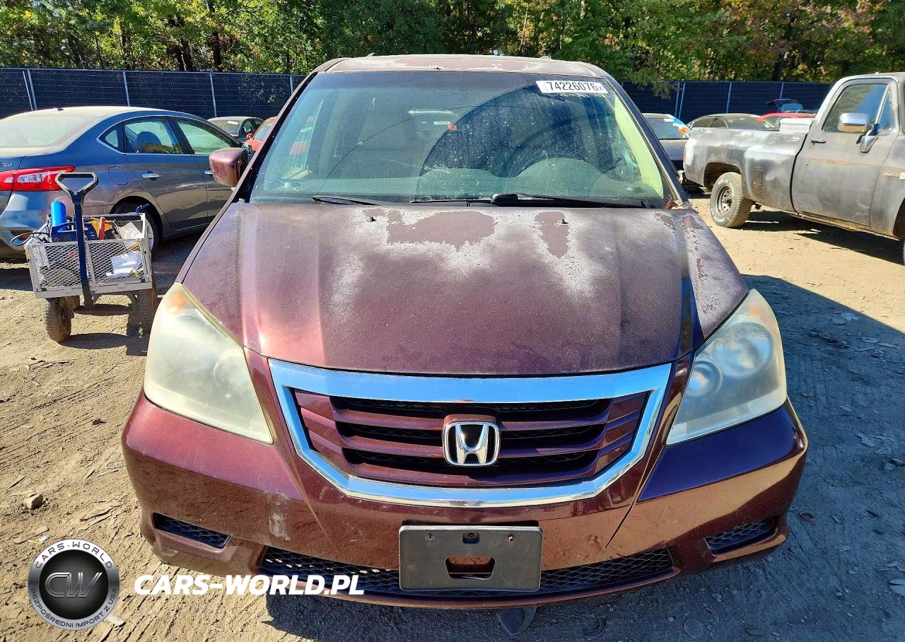 2010 Honda Odyssey Exl VIN:5FNRL3H79AB005301 - 5