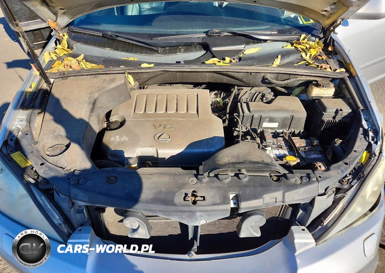 2009 Lexus Rx 350 VIN:2T2HK31U49C118275 - 12