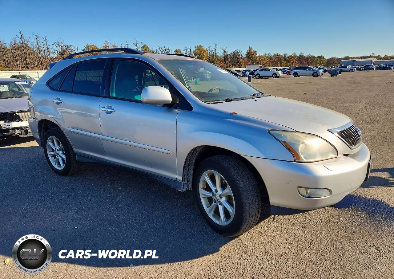 2009 Lexus Rx 350 VIN:2T2HK31U49C118275 - 4