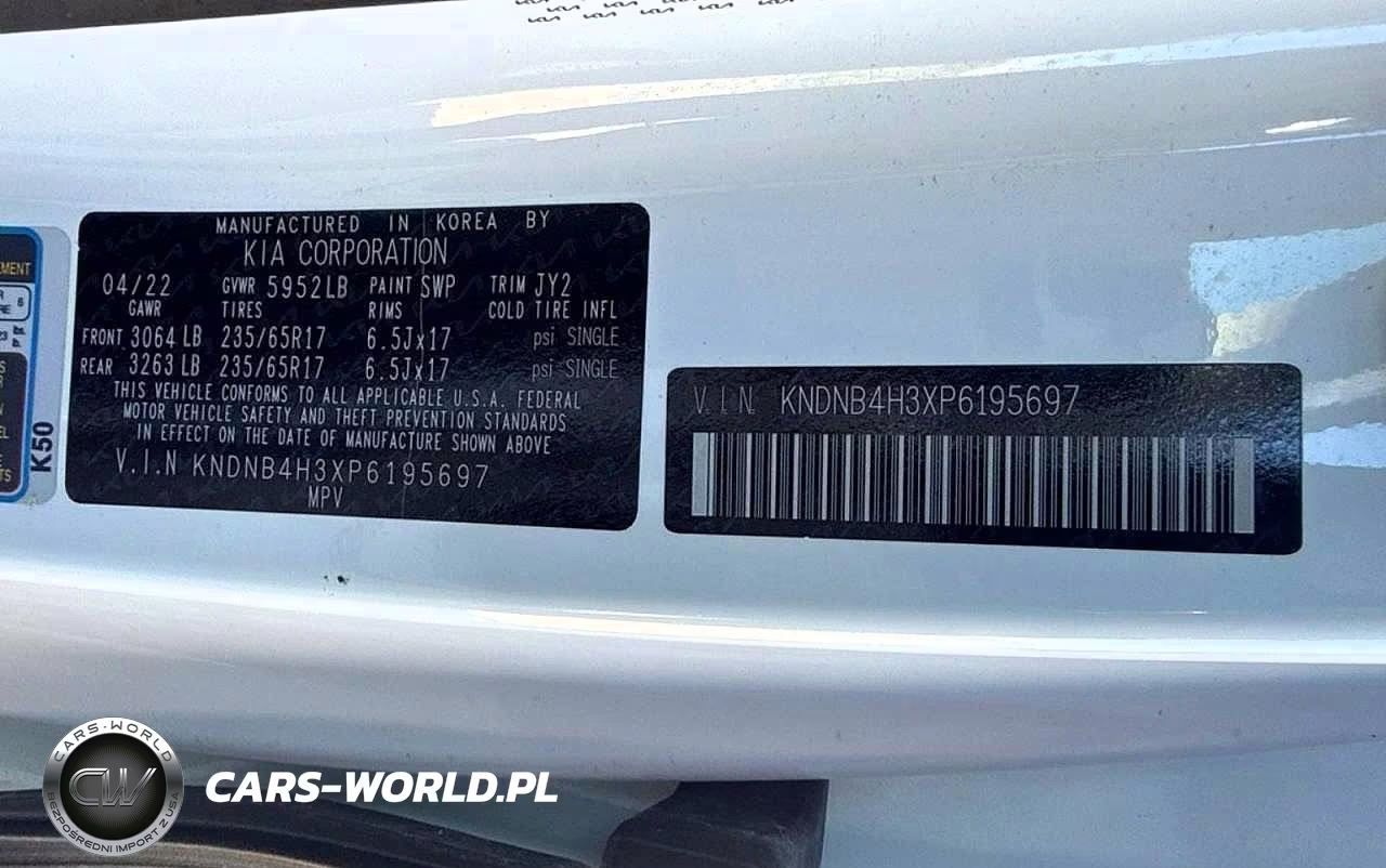 2023 Kia Carnival Lx VIN:KNDNB4H3XP6195697 - 10