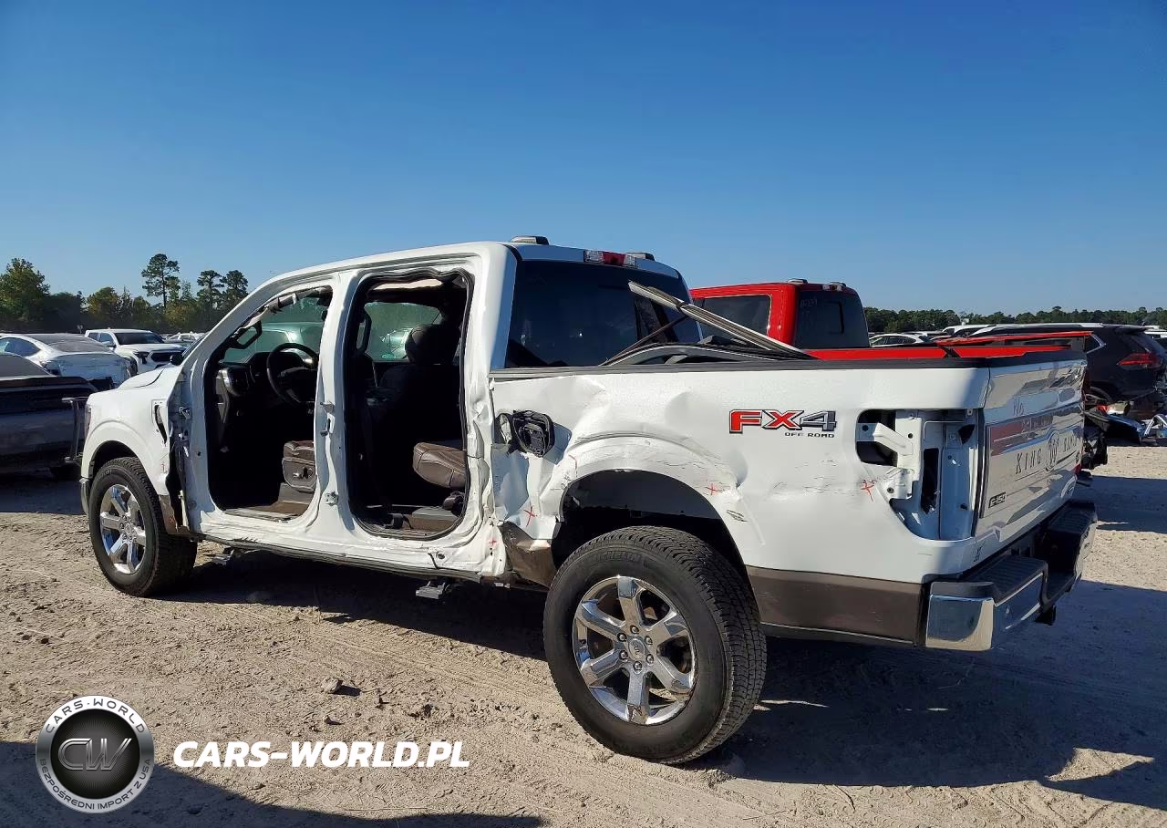 2023 Ford F-150 King Ranch VIN:1FTFW1E86PFA43391 - 2