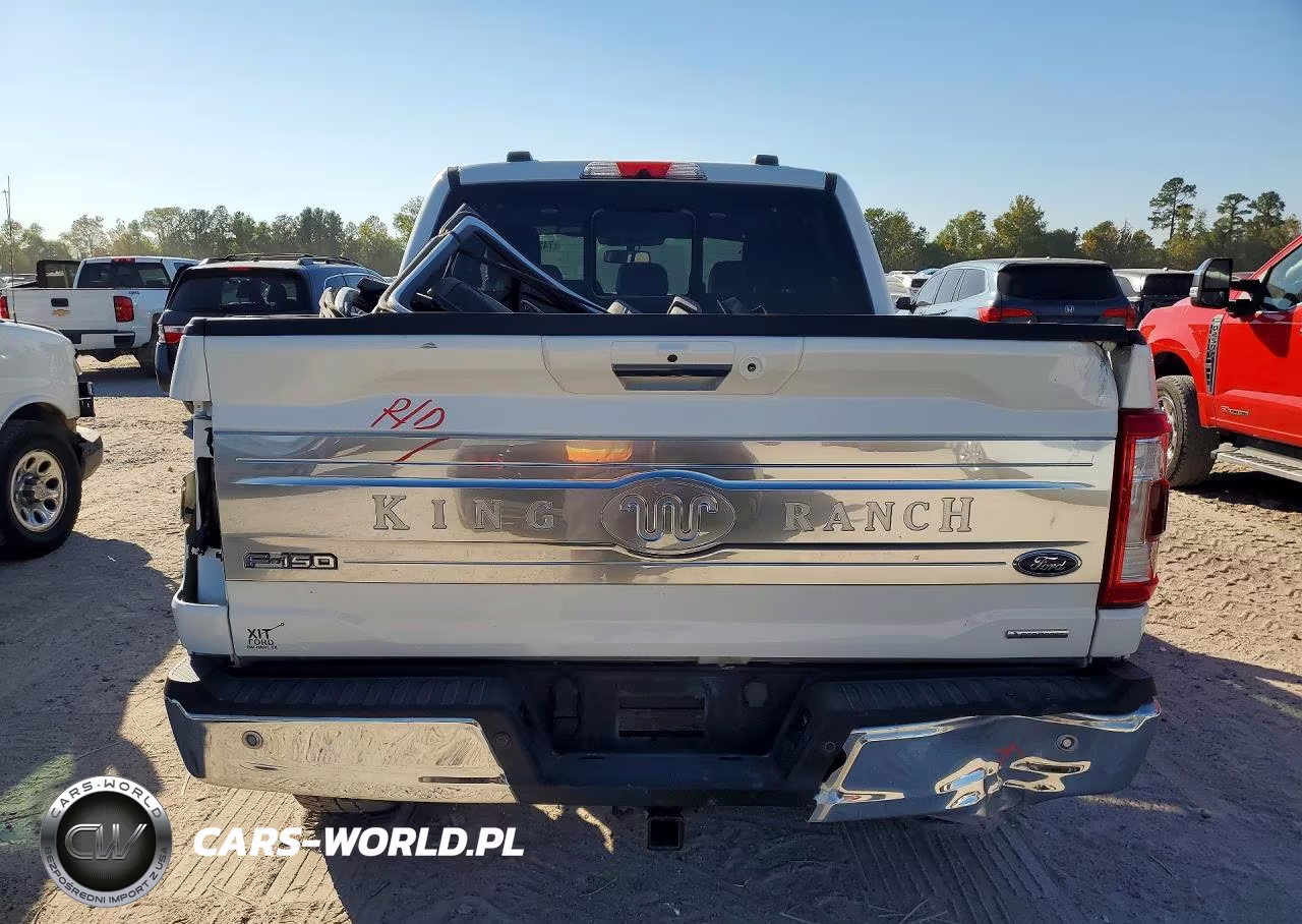 2023 Ford F-150 King Ranch VIN:1FTFW1E86PFA43391 - 6