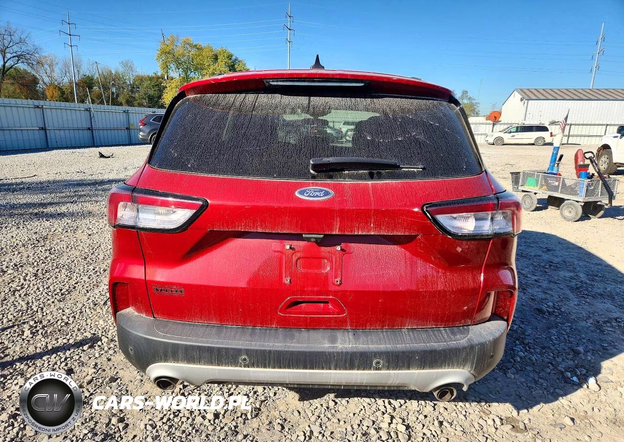 2021 Ford Escape Sel VIN:1FMCU9H60MUA65620 - 6