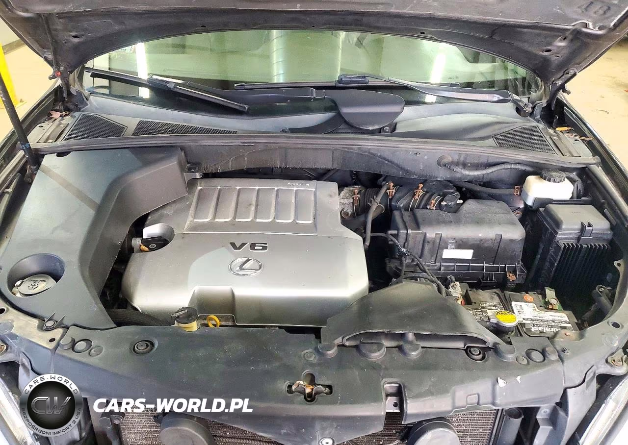 2009 Lexus Rx 350 VIN:2T2HK31U19C102969 - 12