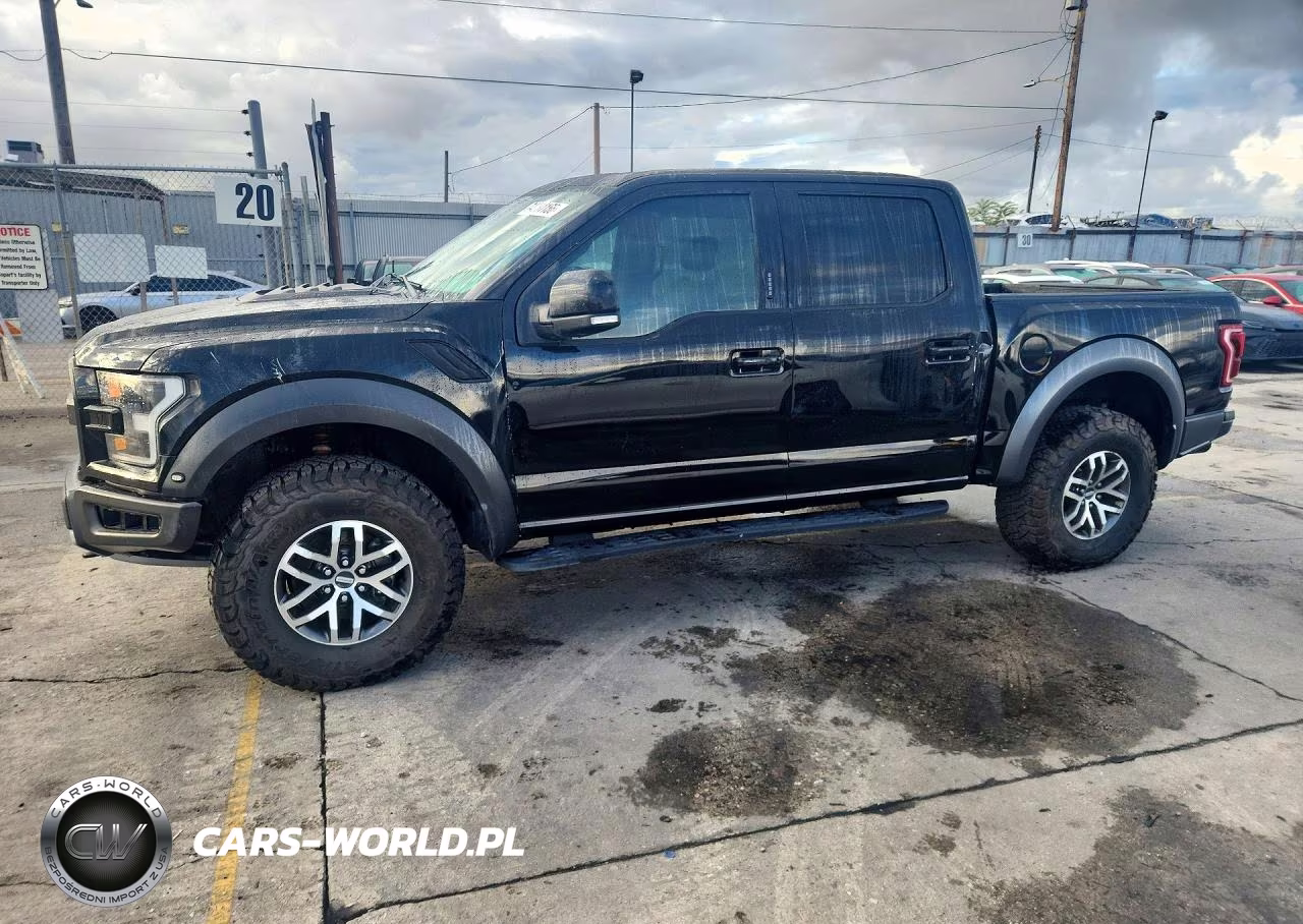 2017 Ford F150 Raptor