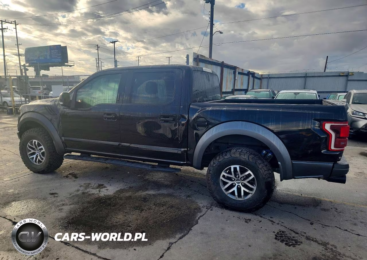 2017 Ford F150 Raptor VIN:1FTFW1RG7HFC90342 - 2