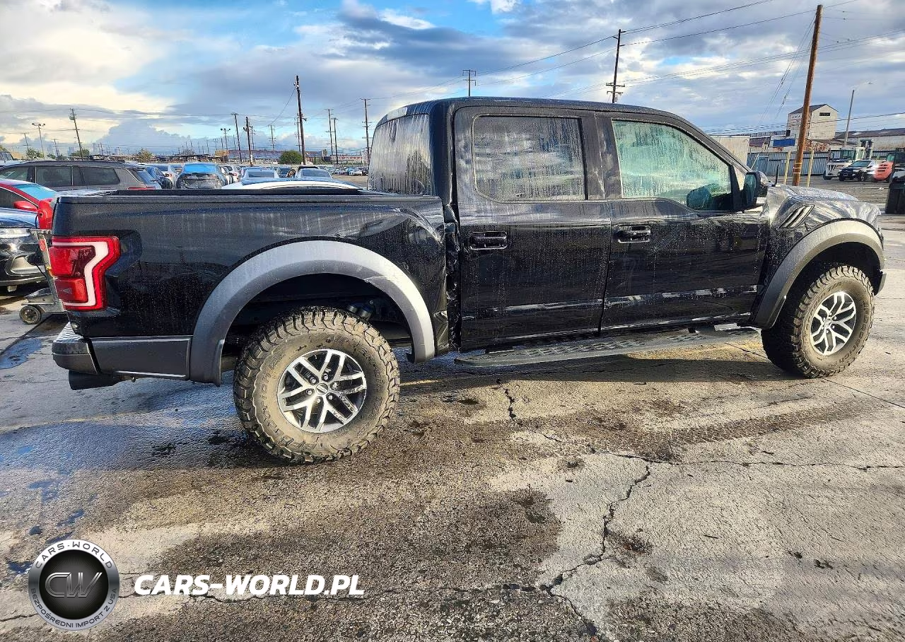 2017 Ford F150 Raptor VIN:1FTFW1RG7HFC90342 - 3