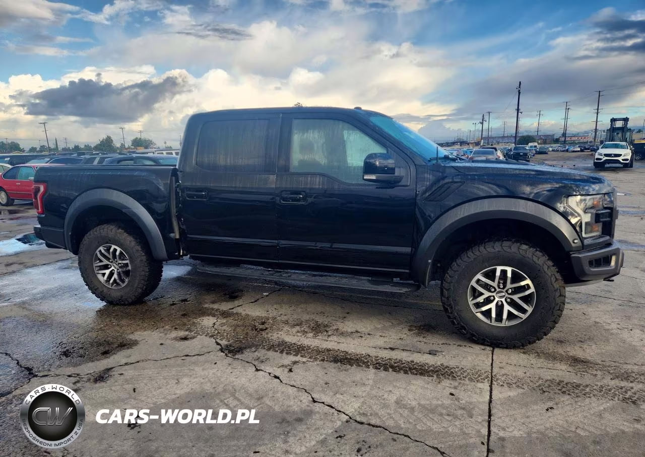 2017 Ford F150 Raptor VIN:1FTFW1RG7HFC90342 - 4