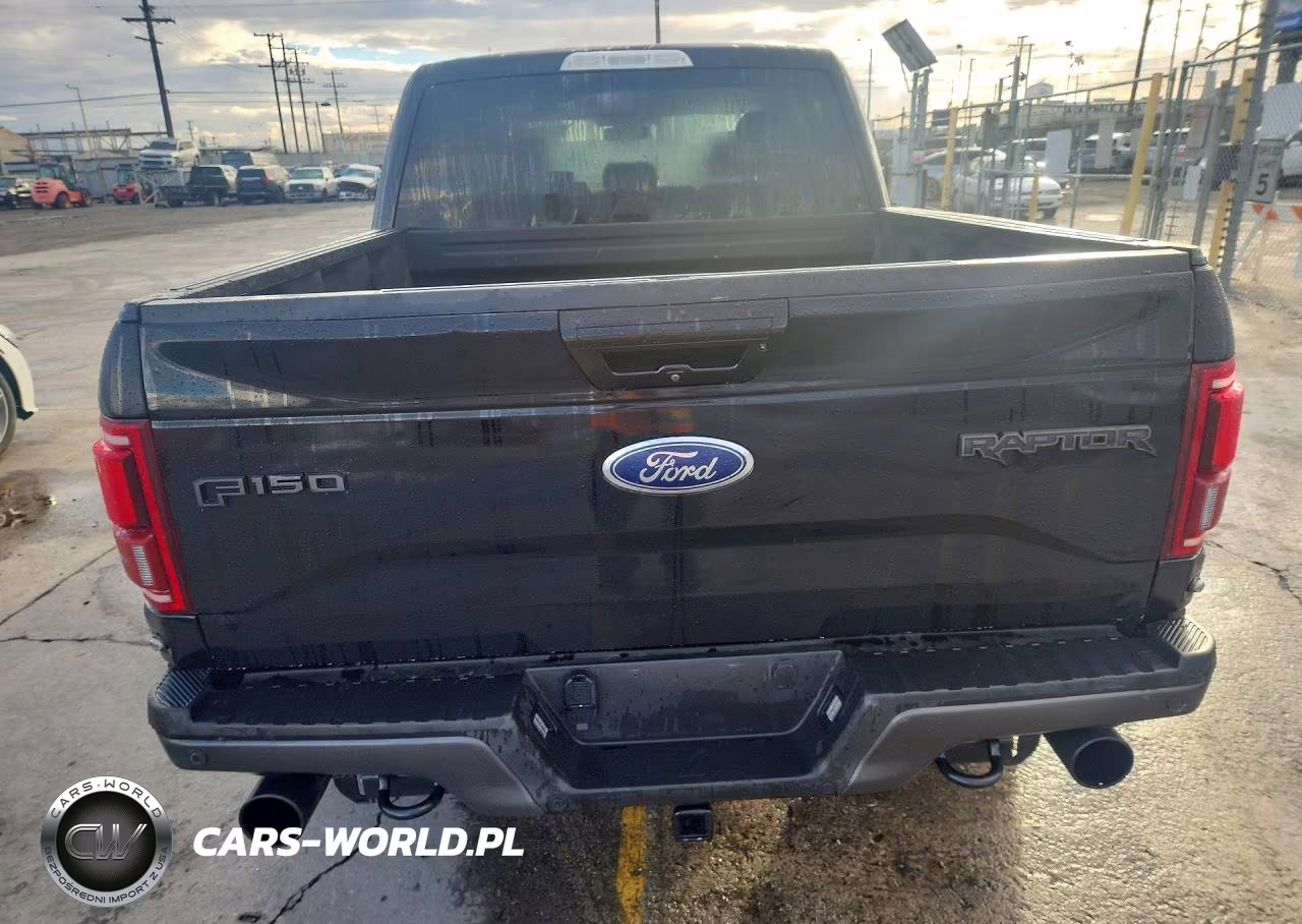 2017 Ford F150 Raptor VIN:1FTFW1RG7HFC90342 - 6