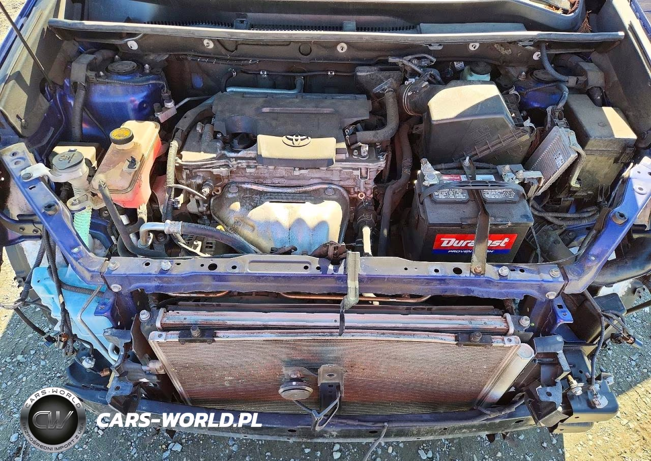 2015 Toyota Rav4 Xle VIN:2T3WFREV9FW197370 - 11
