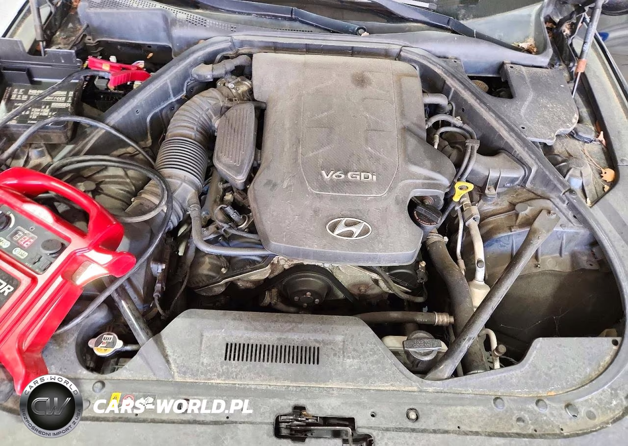 2015 Hyundai Genesis 3.8L VIN:KMHGN4JE3FU052799 - 11