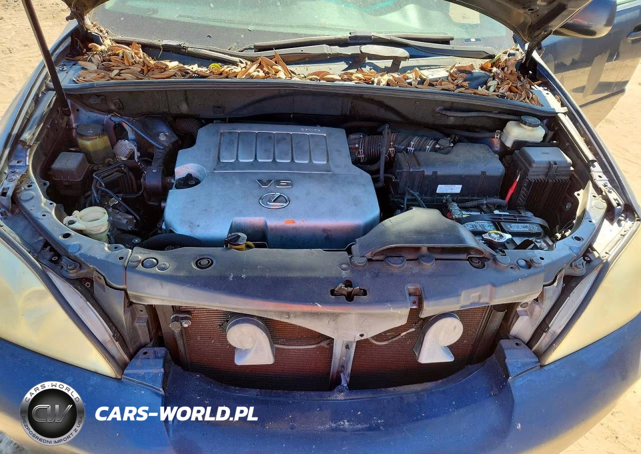 2007 Lexus Rx 350 VIN:2T2GK31UX7C024345 - 12