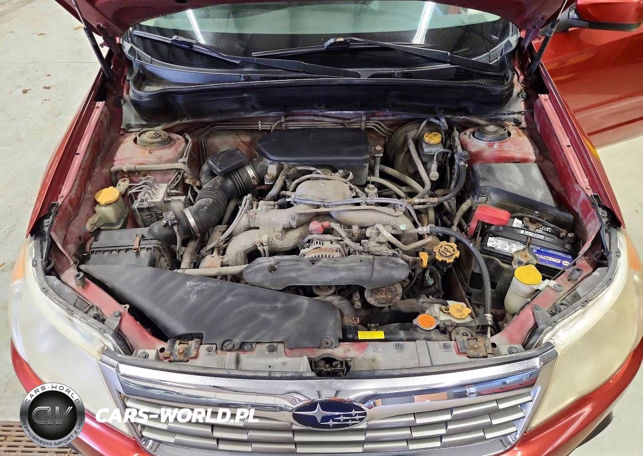 2010 Subaru Forester 2.5X Premium VIN:JF2SH6CC9AH915430 - 12
