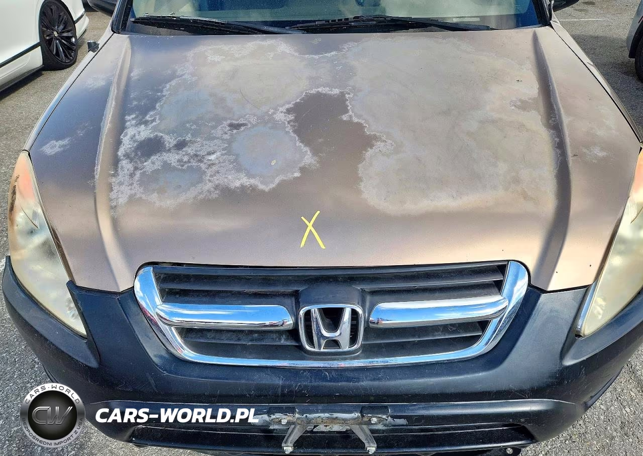 2003 Honda Cr-V Lx VIN:JHLRD68493C013454 - 11