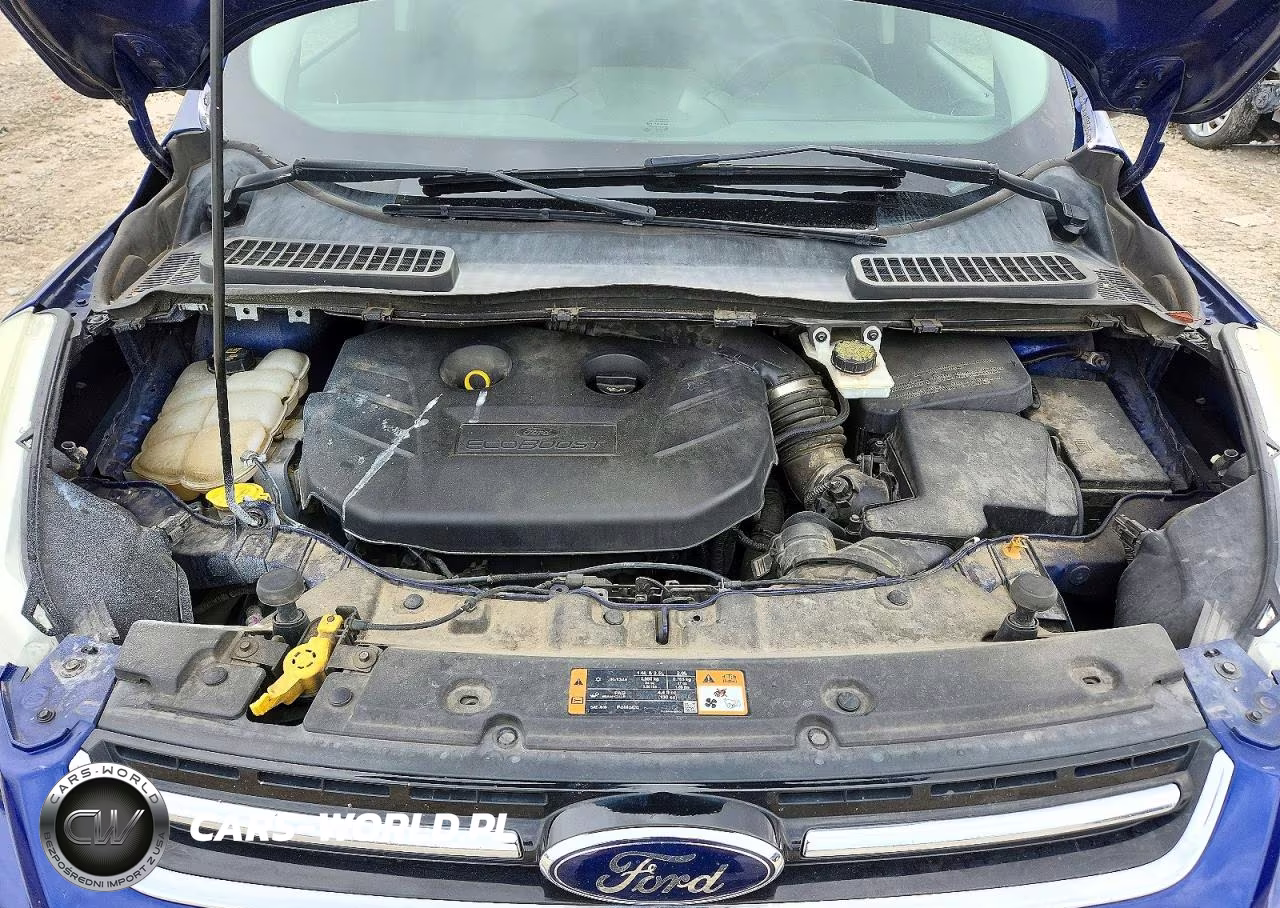 2015 Ford Escape Titanium VIN:1FMCU9J92FUA42881 - 11