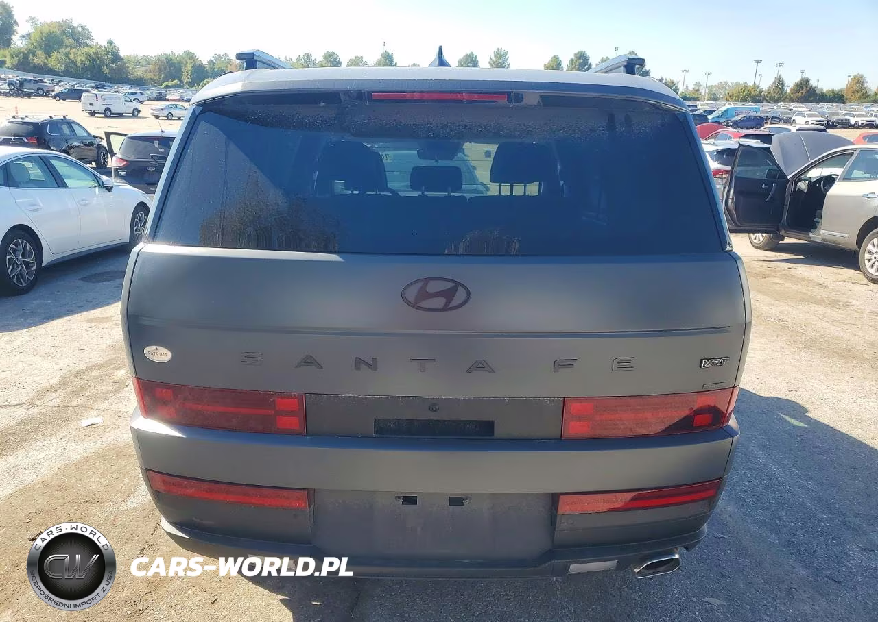 2025 Hyundai Santa Fe Xrt VIN:5NMP3DGL7SH099836 - 6