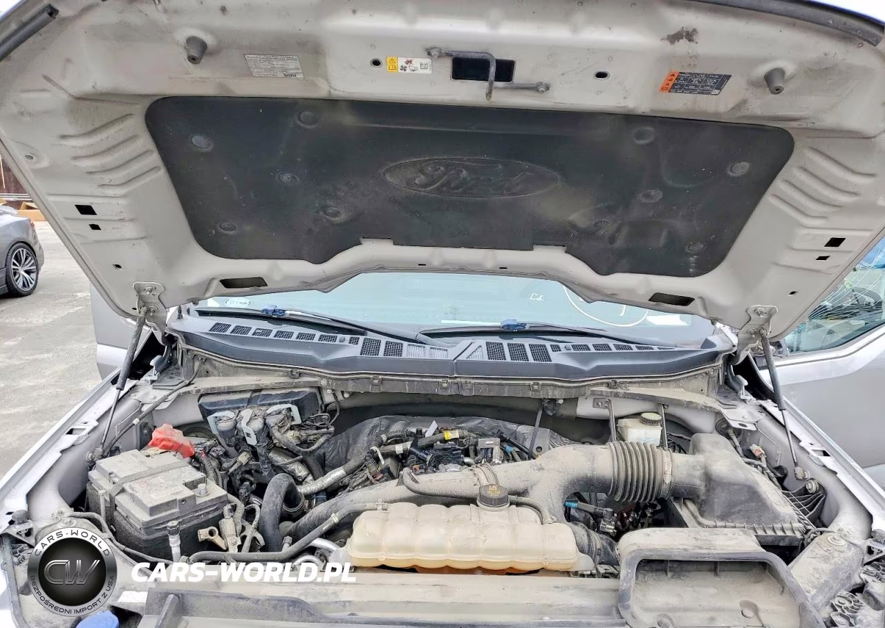 2021 Ford F150 Supercrew VIN:1FTEW1CP6MKD05113 - 11