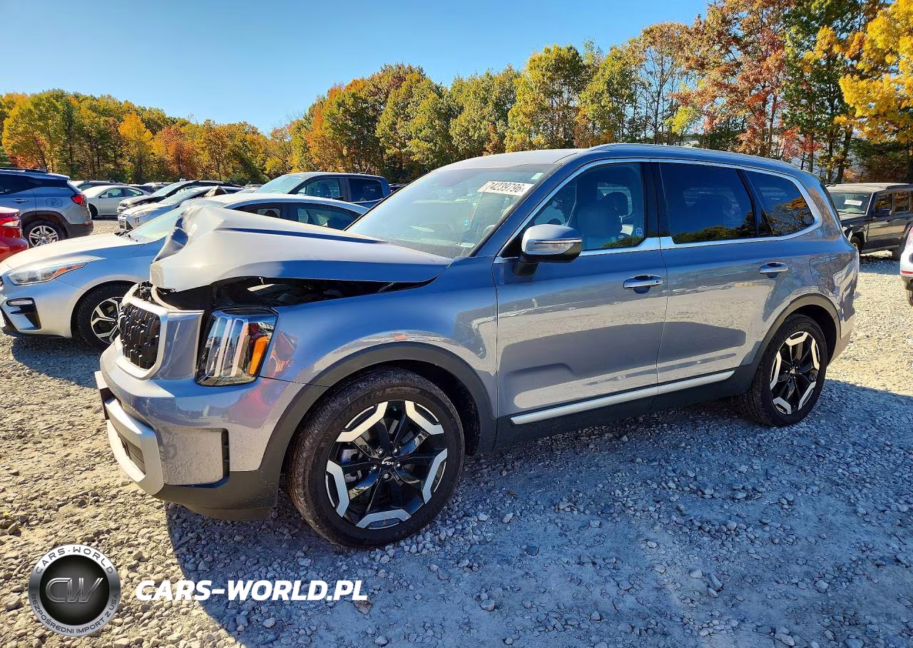 2023 Kia Telluride Ex VIN:5XYP3DGC5PG379787 - 1