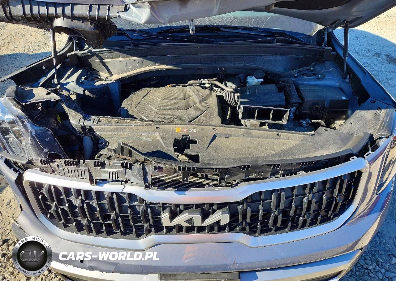 2023 Kia Telluride Ex VIN:5XYP3DGC5PG379787 - 12