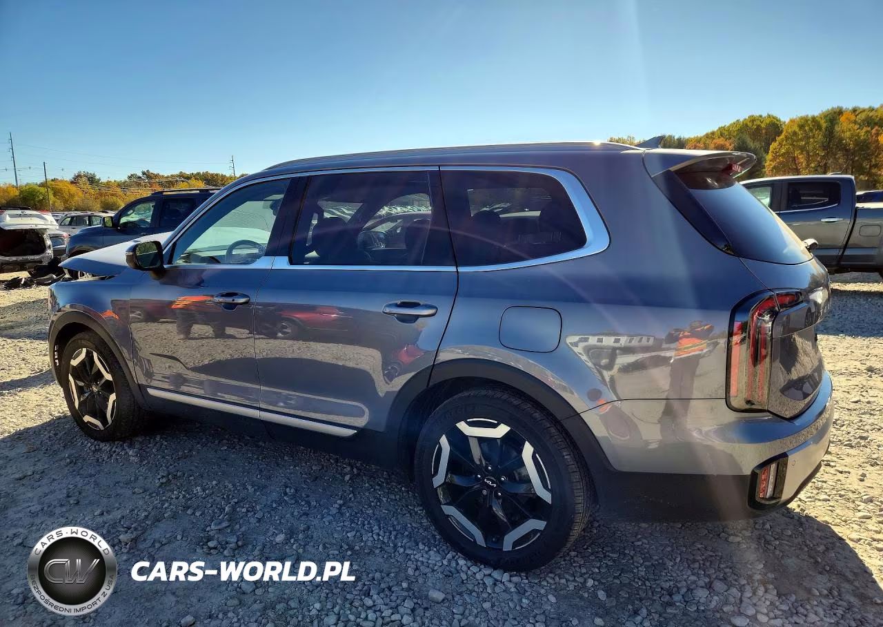 2023 Kia Telluride Ex VIN:5XYP3DGC5PG379787 - 2