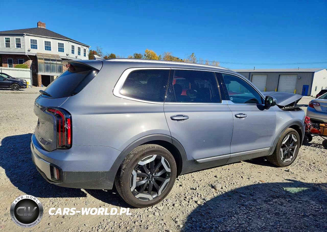 2023 Kia Telluride Ex VIN:5XYP3DGC5PG379787 - 3
