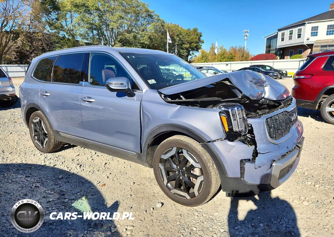 2023 Kia Telluride Ex VIN:5XYP3DGC5PG379787 - 4