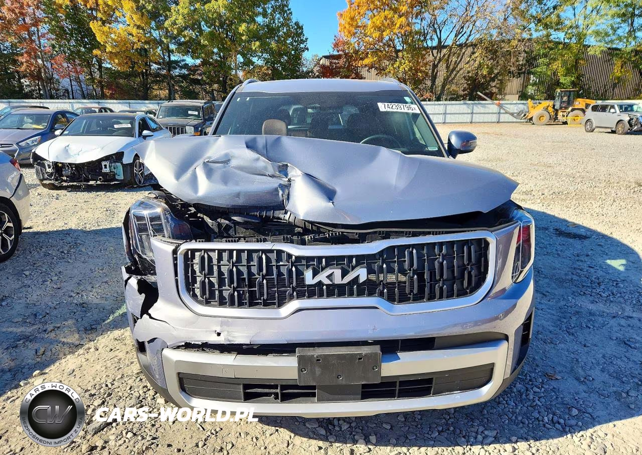 2023 Kia Telluride Ex VIN:5XYP3DGC5PG379787 - 5