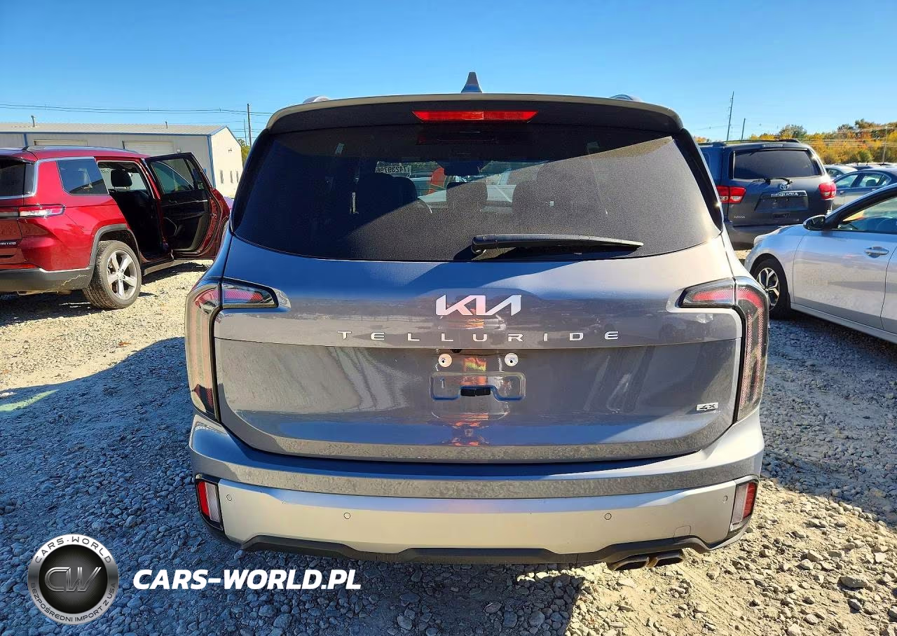 2023 Kia Telluride Ex VIN:5XYP3DGC5PG379787 - 6