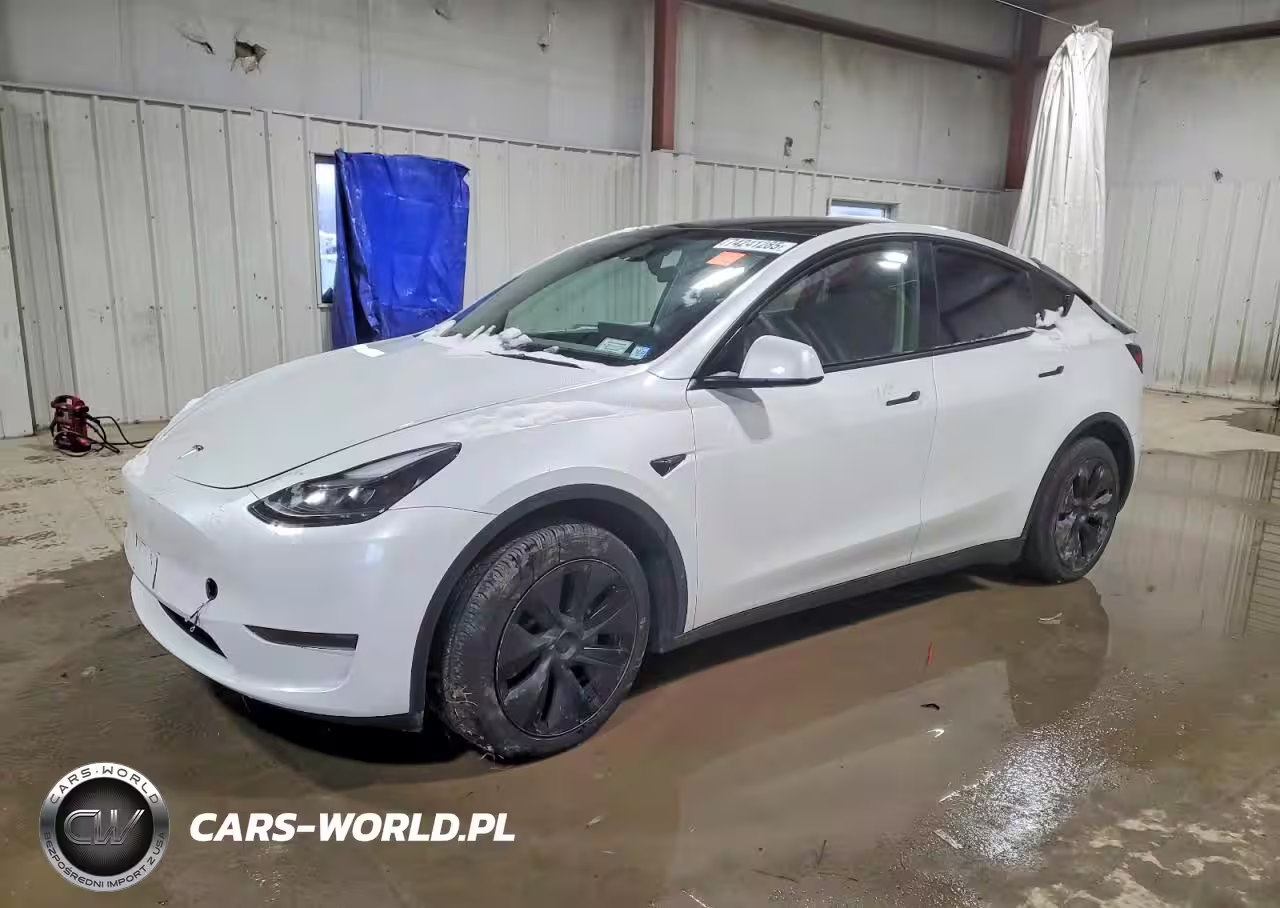 2025 Tesla Model Y