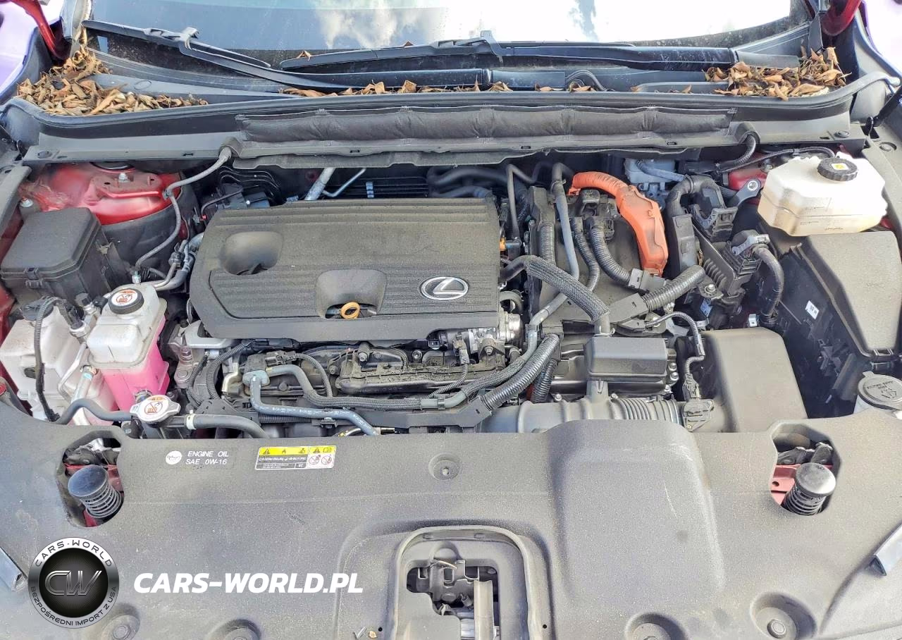 2024 Lexus Rx 350H Premium VIN:2T2BBMCA4RC030082 - 12