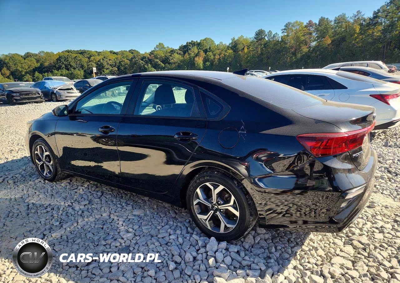 2020 Kia Forte Lxs VIN:3KPF24AD9LE228006 - 2