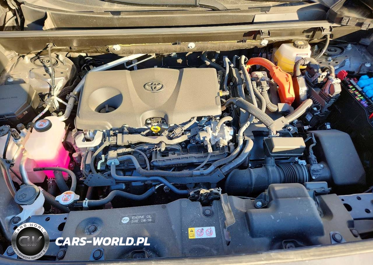 2025 Toyota Rav4 Xse VIN:JTME6RFVXSJ081811 - 12