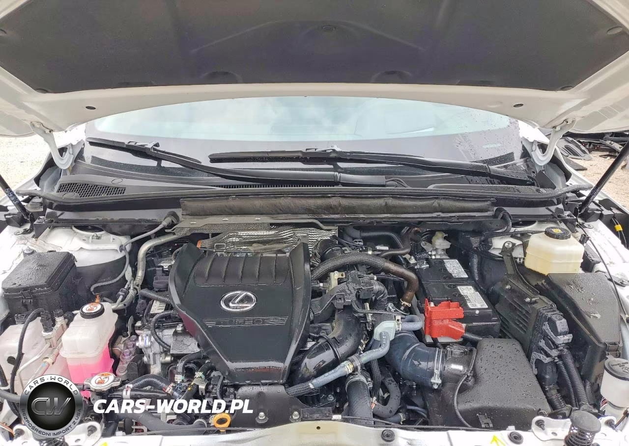 2024 Lexus Rx 350 Base VIN:2T2BAMCAXRC075353 - 12