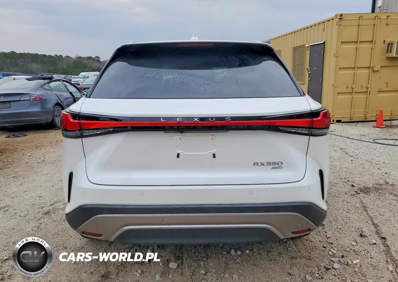 2024 Lexus Rx 350 Base VIN:2T2BAMCAXRC075353 - 6